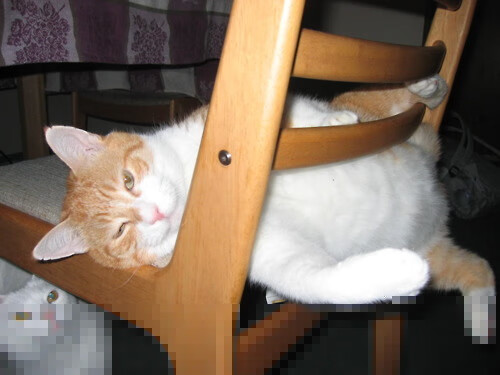 火箭魔术攻防博弈，东契奇一子定乾坤