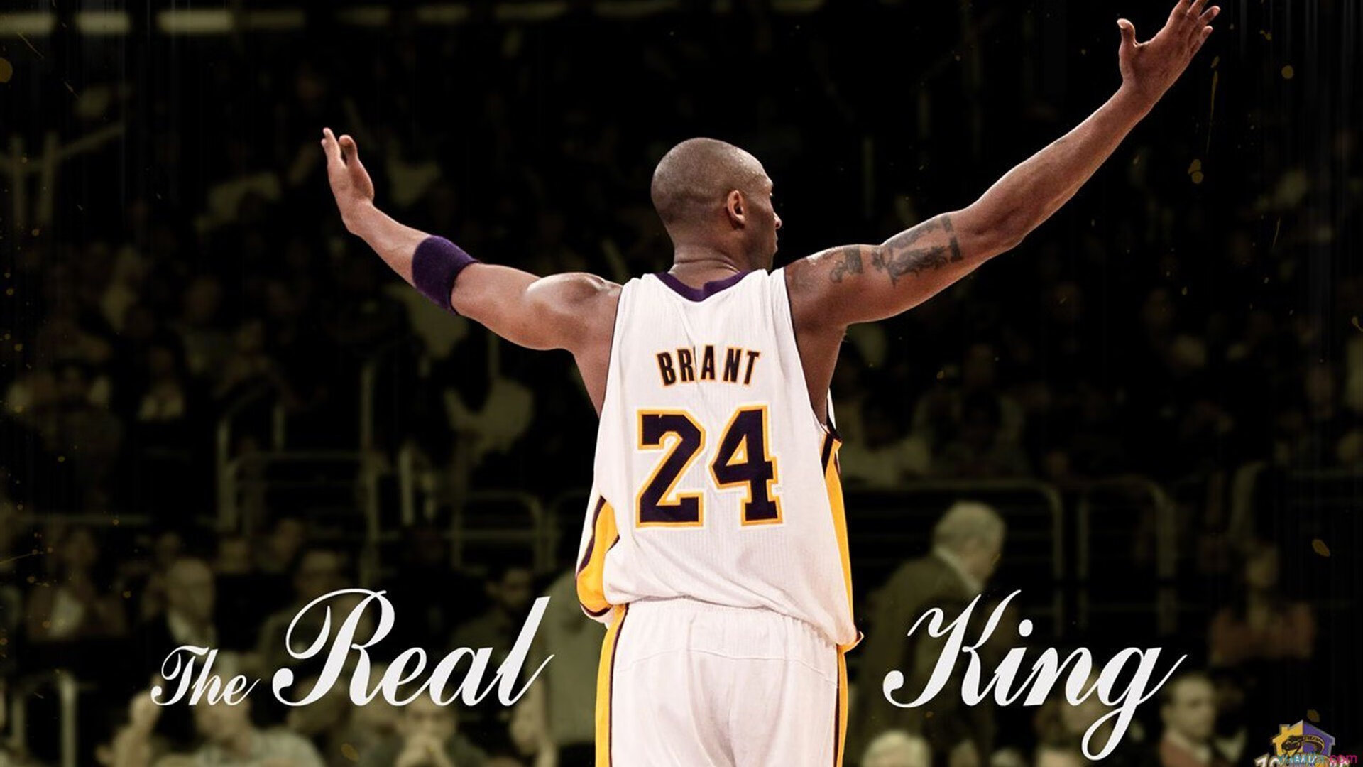 格纳布里一剑封喉,当乌克兰铁骑遭遇摩纳哥,他成为了那个改写剧本的人