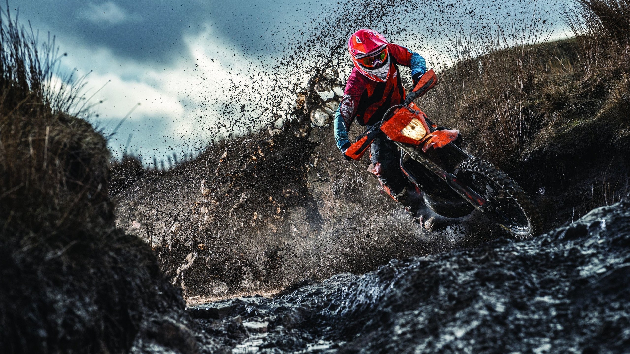 老将的尊严，克莱F1绝杀封神夜，映照湖人末节崩塌的残酷真相